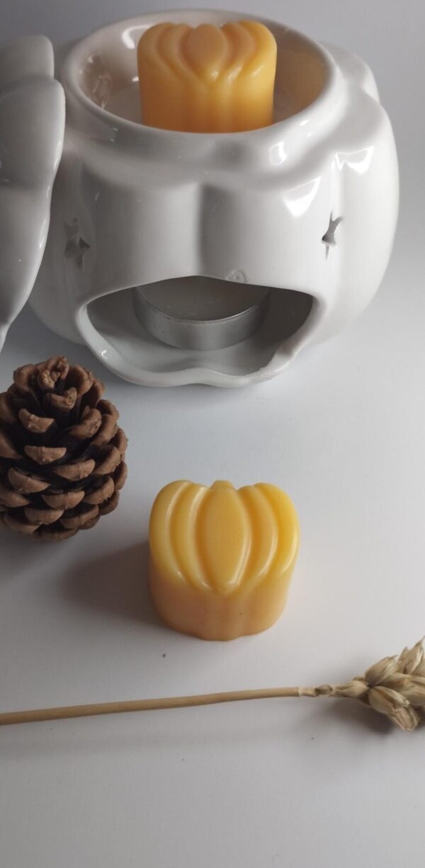 COLLECTION HALLOWEEN Fondant «ECLIPSE DE LUNE»